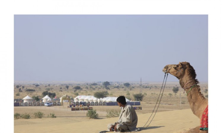Camel safari