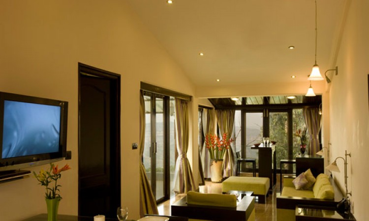 Ivy suite Ivy suite