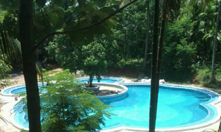 Pool 1