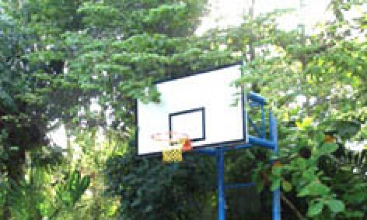 Basket ball court