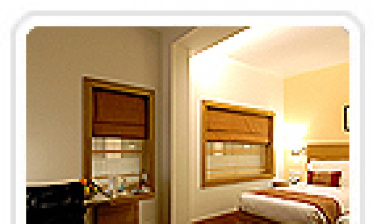 Executive room2 Executive room2