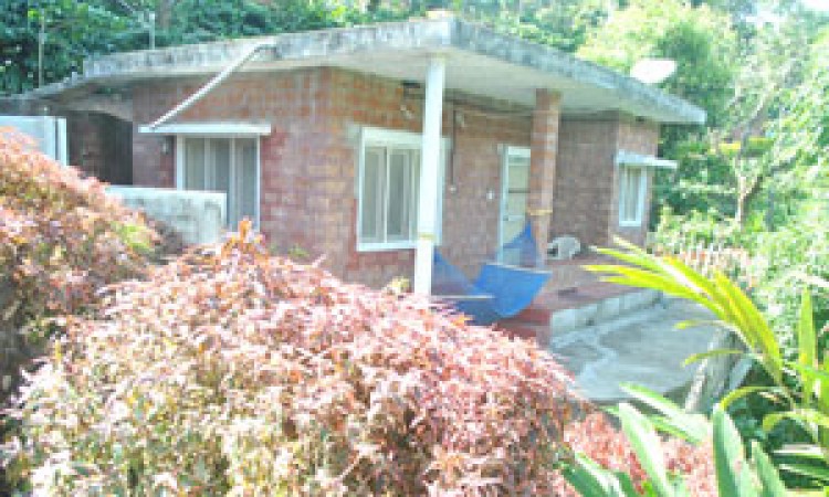 Cottage