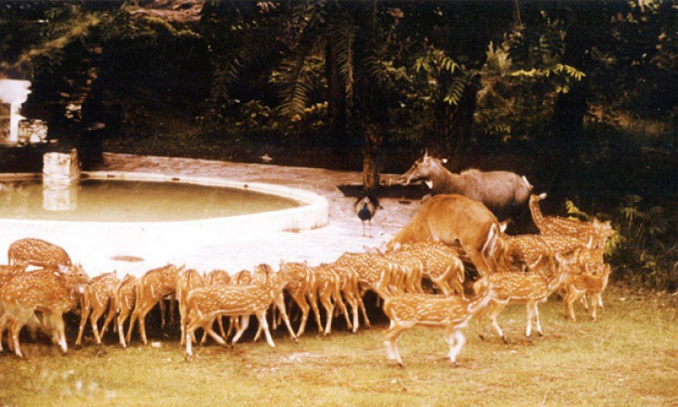 007deer_park