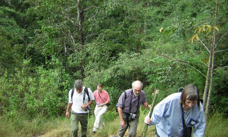 Trekking