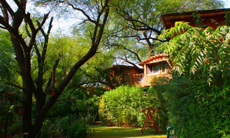 Lawn Lawn