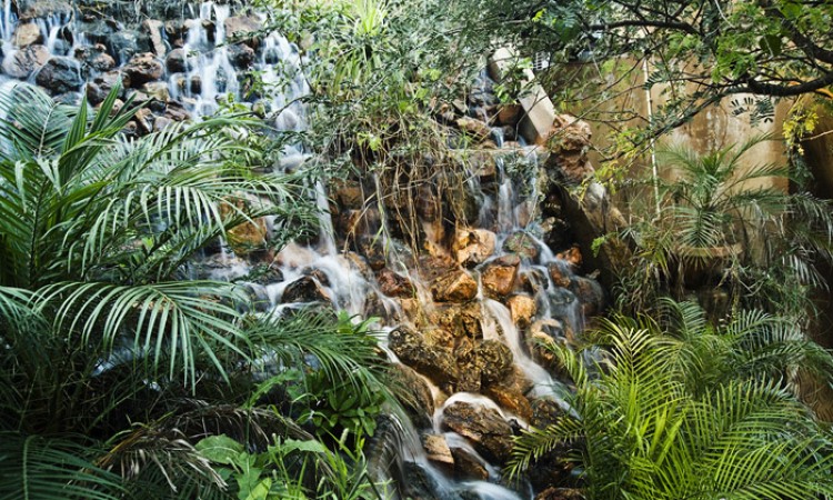 Little waterfall Little waterfall
