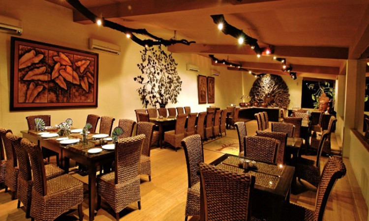 Machaan Restaurant Machaan Restaurant