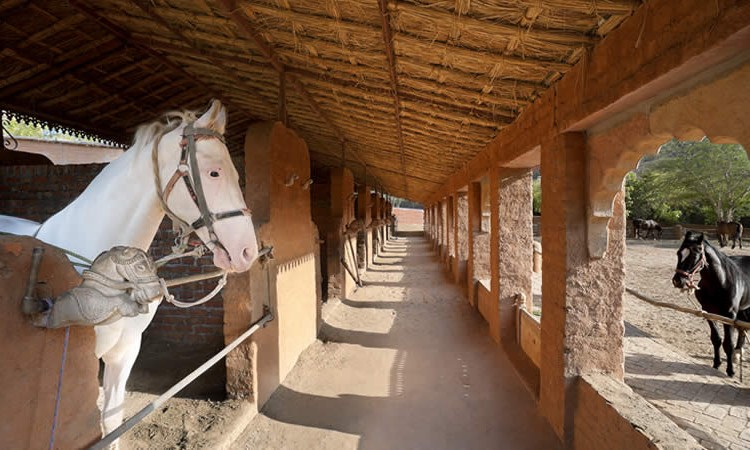 Horse stable
