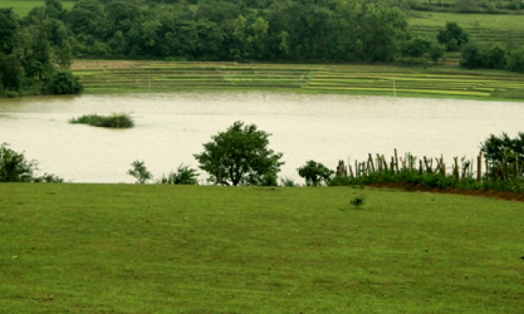 Natural view