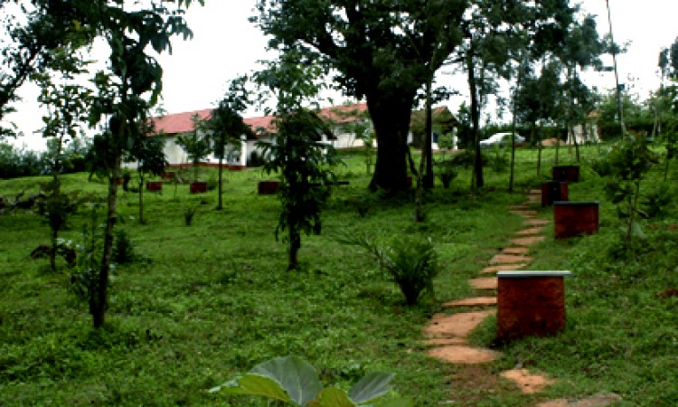 Natural view 1