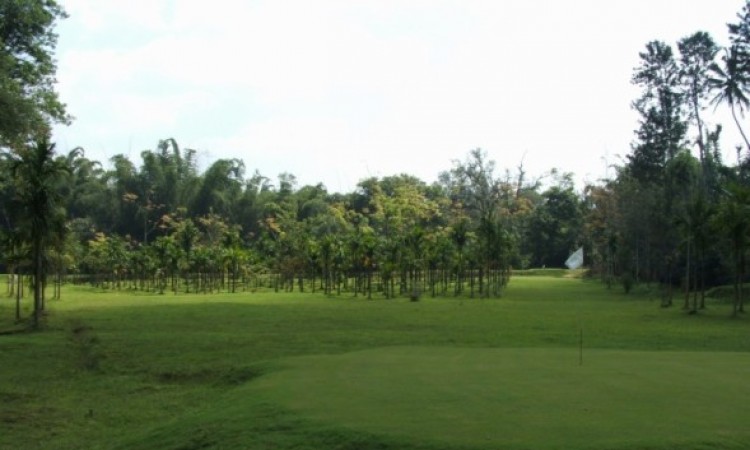 Golf-course Golf-course