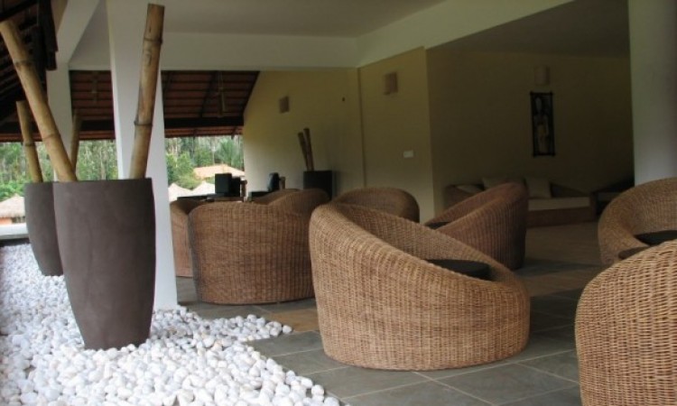 Lounge Lounge