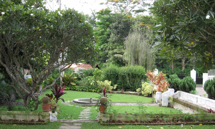 Garden2