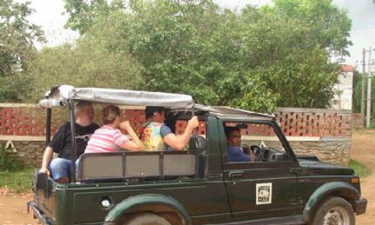 Tuskertrails-safarijeep Tuskertrails-safarijeep