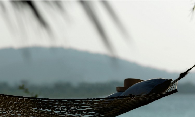 Hammock