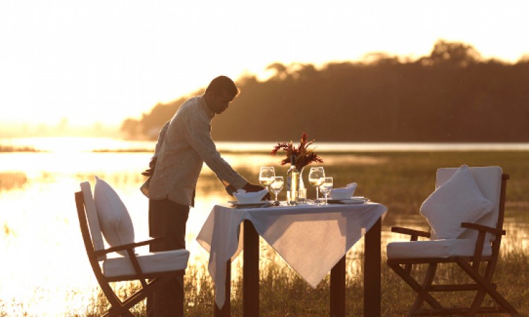 Honeymoon dinner