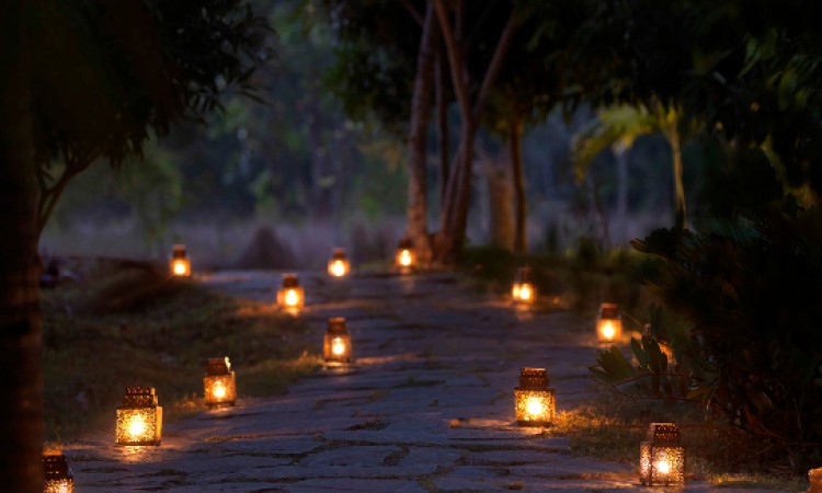 The serai pathway