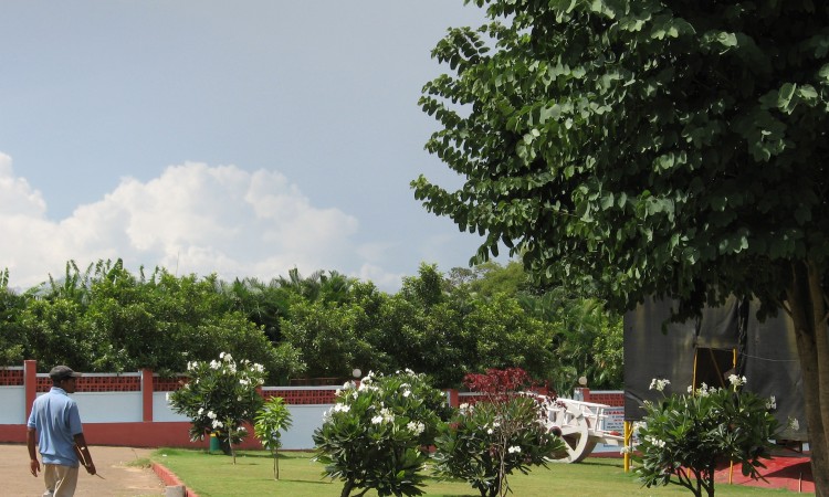 Lawns