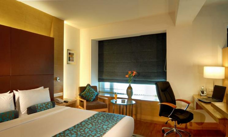 Luxurious Room Luxurious Room