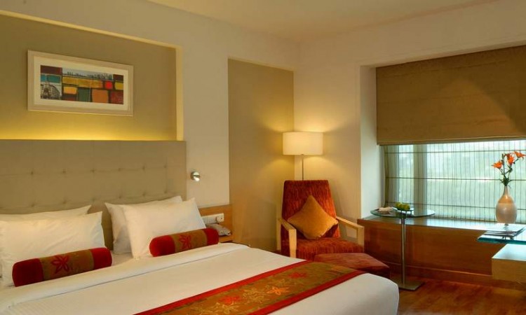 Room Room