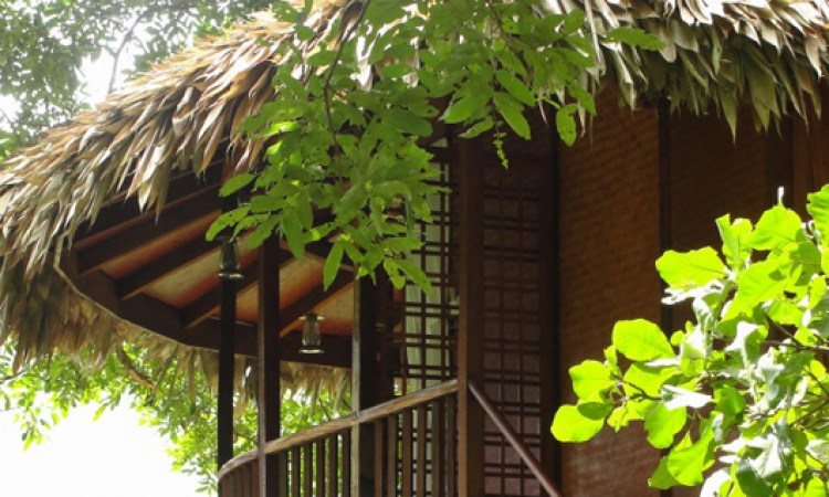 Tree house3