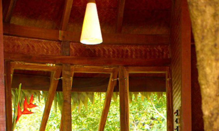 Tree house