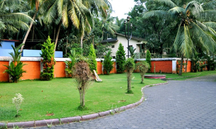 Garden area
