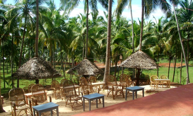 Outside dining