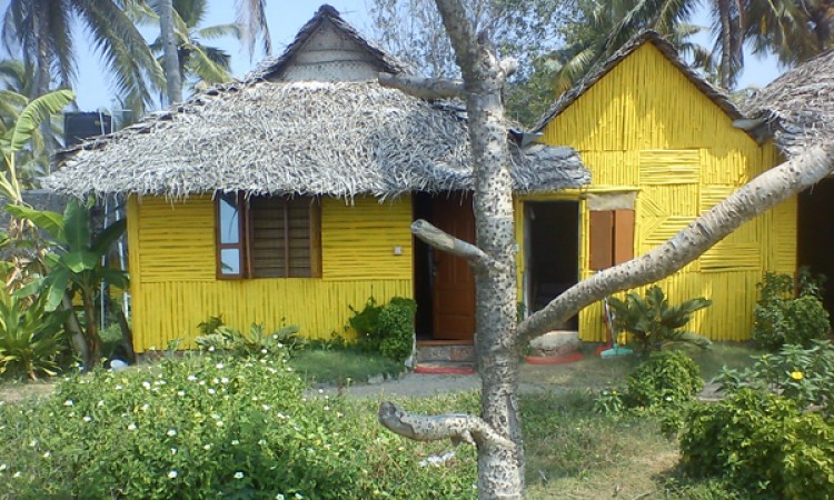 Cottage view