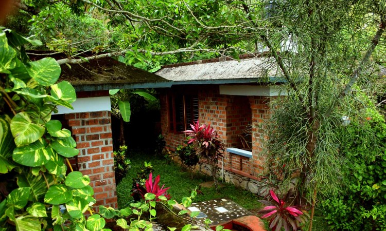 Hillside cottage1