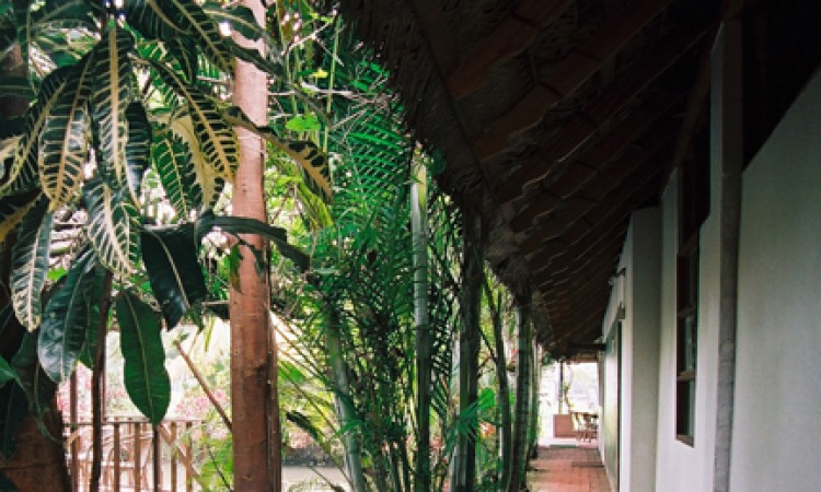 Pathway