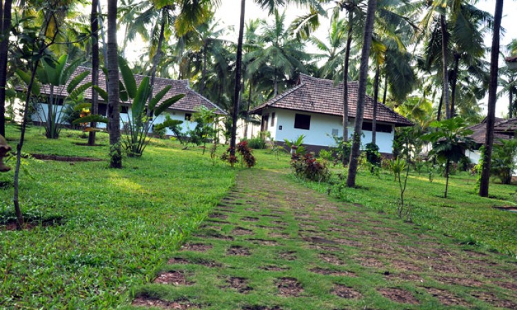 Pathway-&-cottage-view Pathway-&-cottage-view