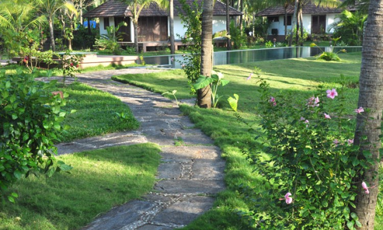Pathway Pathway