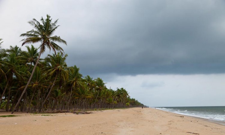 Sea-shore Sea-shore