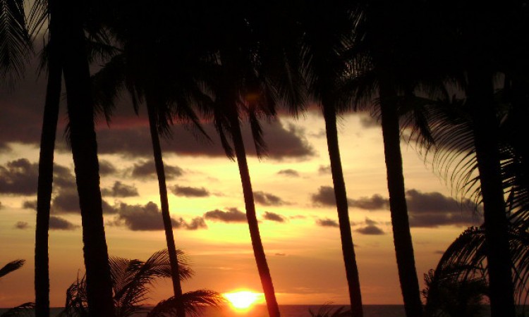 SUN-SET-1 SUN-SET-1