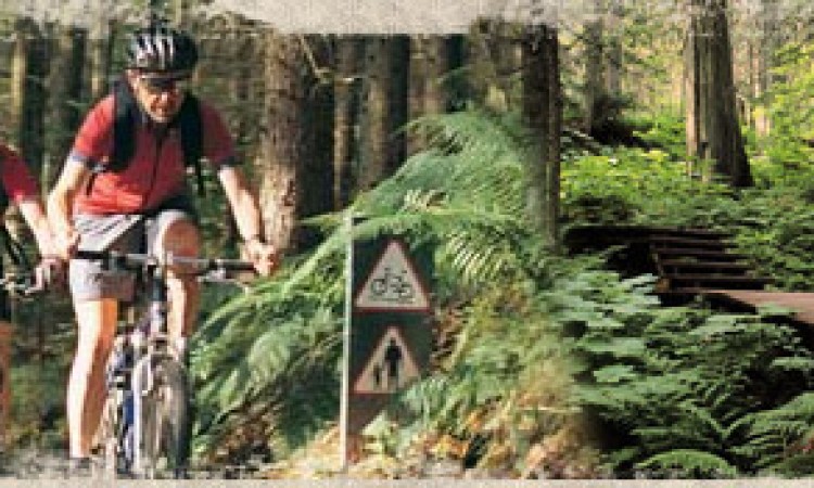 Biking Trail Biking Trail