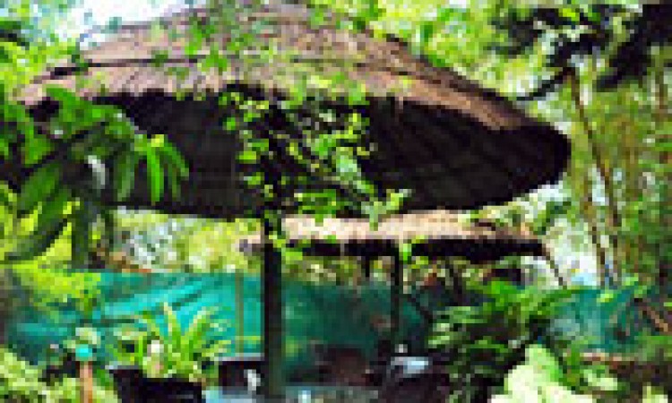 Green Magic Garden Restaurant Green Magic Garden Restaurant