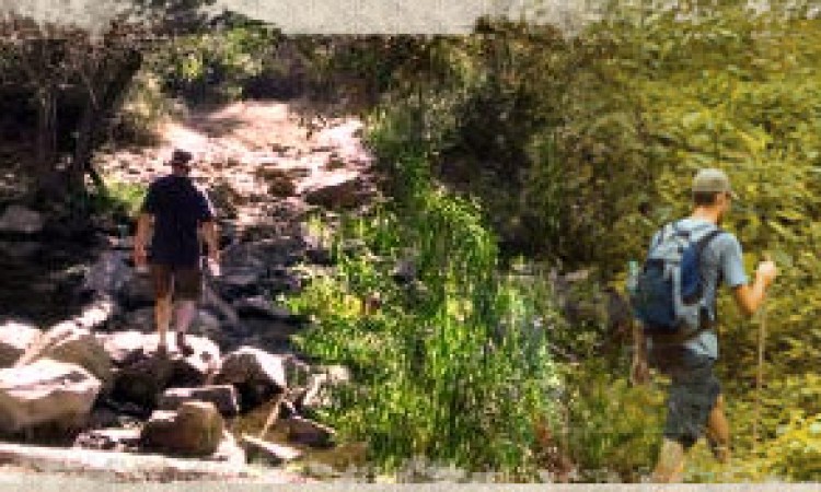 Hiking_Trails- Hiking_Trails-