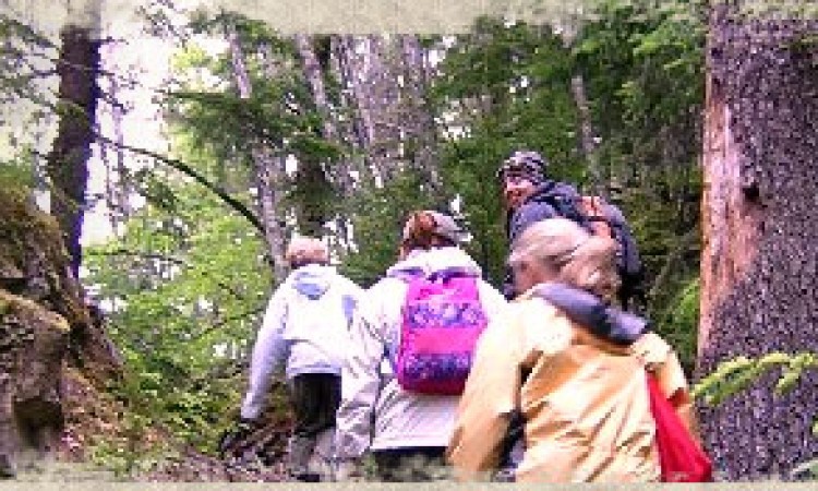 Trekking_Trails- Trekking_Trails-