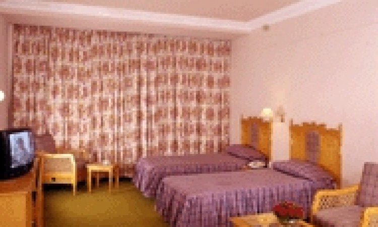Double-bedded Room