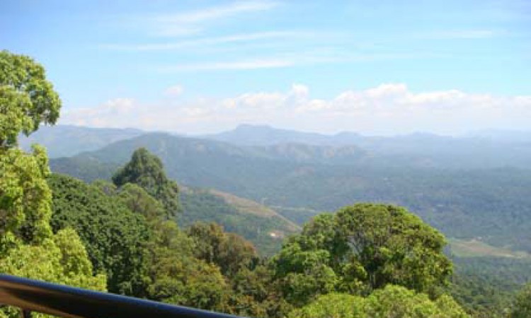 View from room