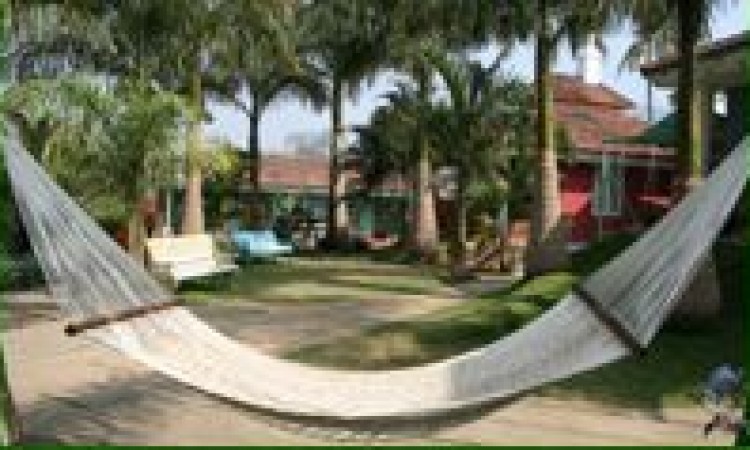 Hammock Hammock