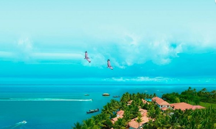 Arial View
