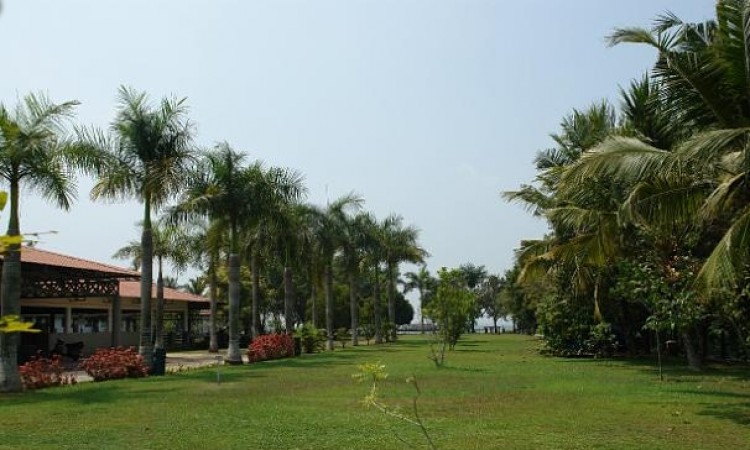 Lawn
