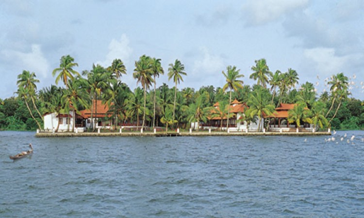 The Resort The Resort