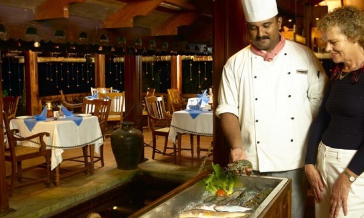 Aromas of Home Aromas of Home