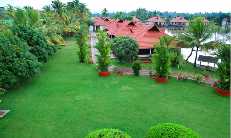 Lawn Lawn