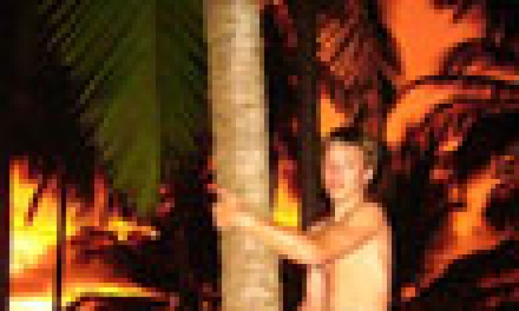 Climbing coconut