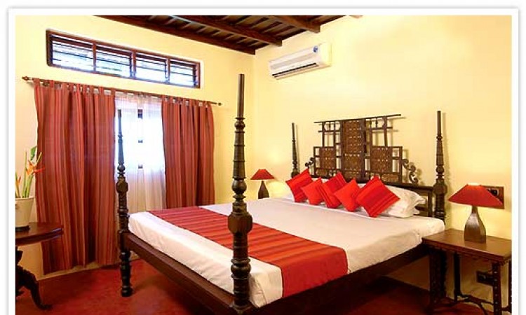 Room Room