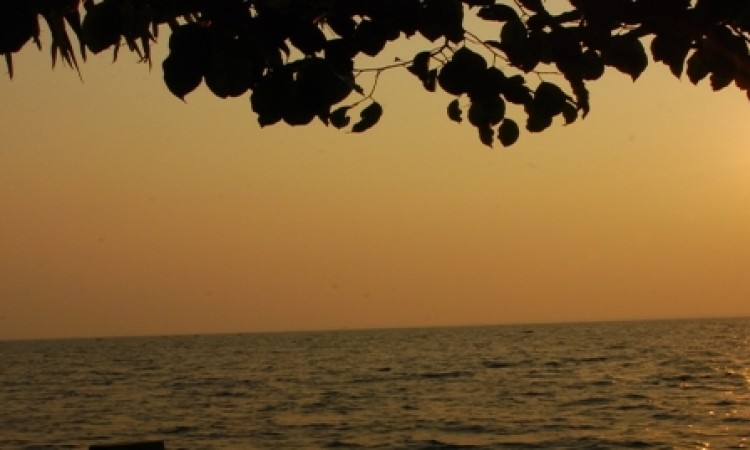 Sunset View